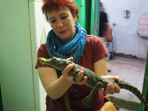 Krokodile sind hier Haustiere, und eine Erinnerung an alte Zeiten vor dem Bau des Staudamms