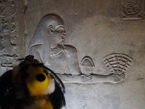 Nicht das Zeichen für WiFi, sondern Rinder-Rippe als Opfer