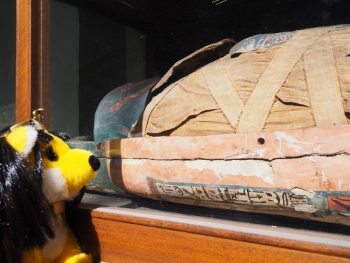 Nicht meine Verwandtschaft