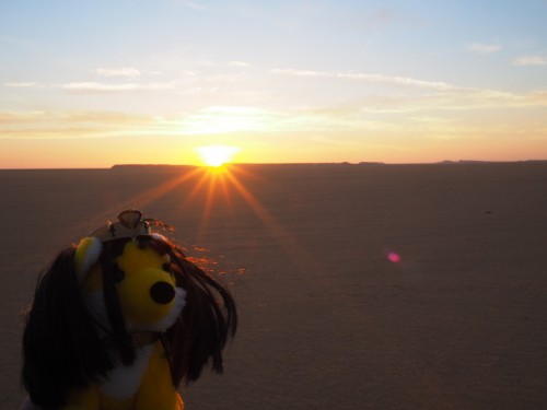 Sonnenaufgang in der Sahara