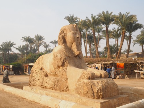 diese Sphinx hat ihre Nase noch.